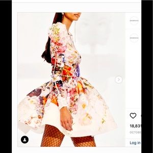 Authentic Zimmermann Prima2022 Spring Dress size 0